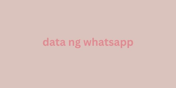 data ng whatsapp