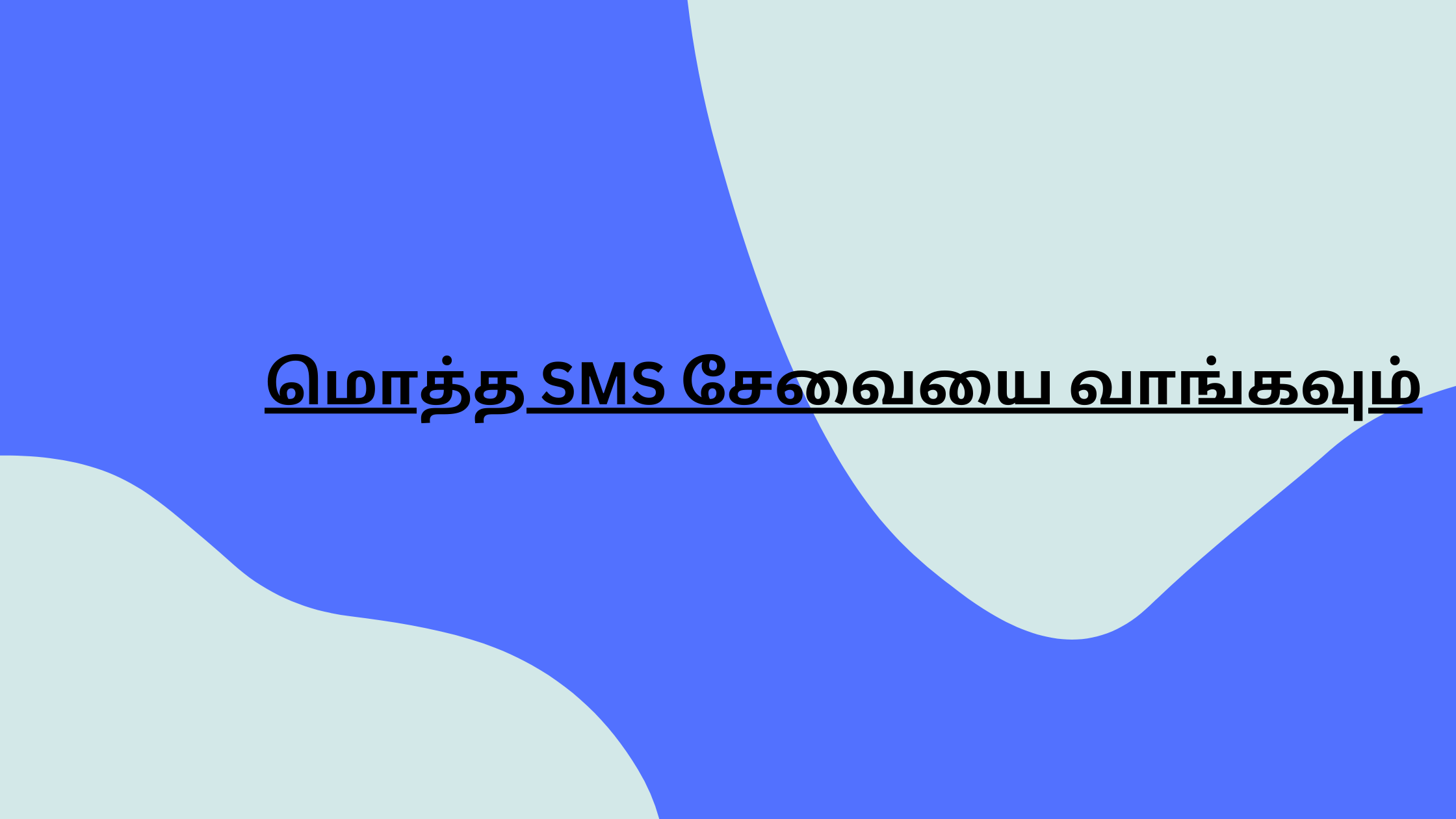 மொத்த SMS சேவையை வாங்கவும் (2)